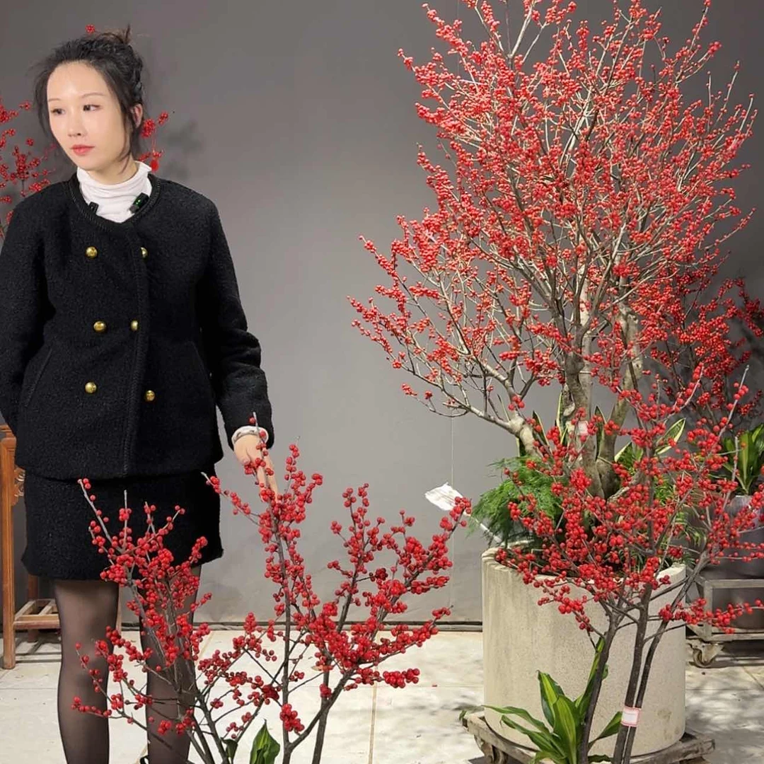 【闪购商品】红陶171cm(含)-200cm(含)蜗*