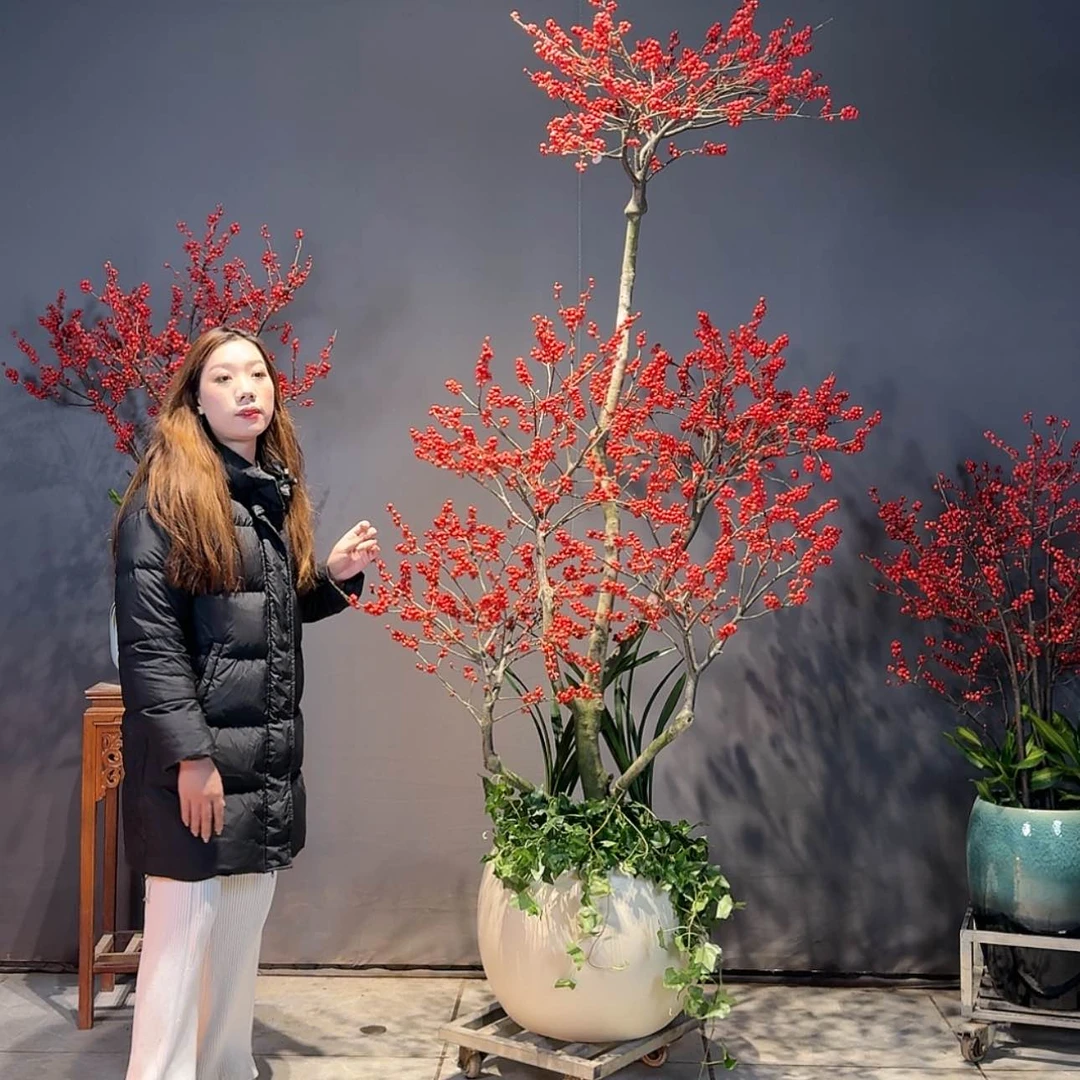 【闪购商品】红陶171cm(含)-200cm(含)羊