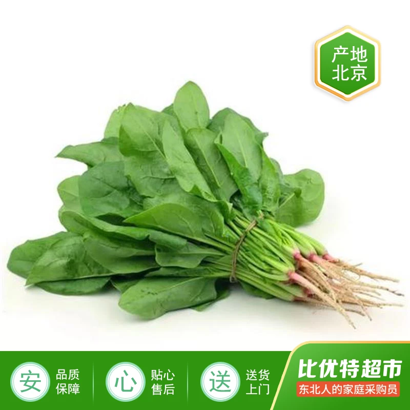 精品菠菜约200g/份