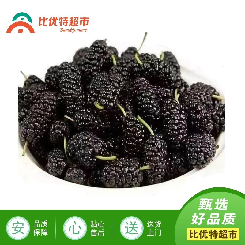 桑葚果 约450g/份
