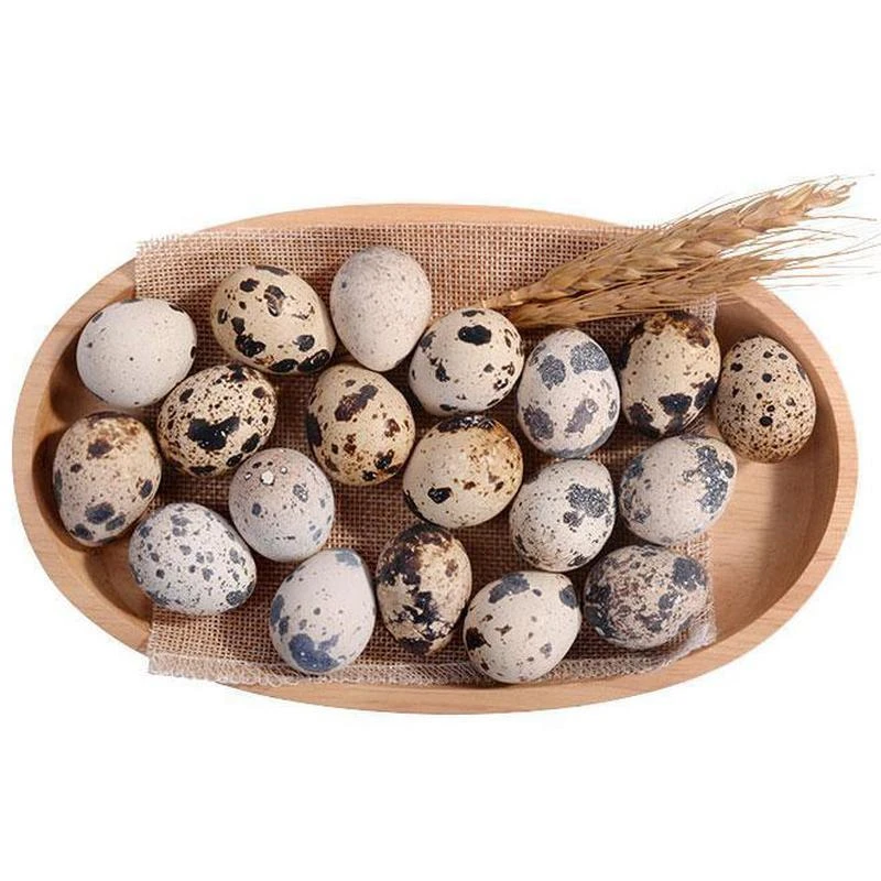 生鹌鹑蛋 约450g/份