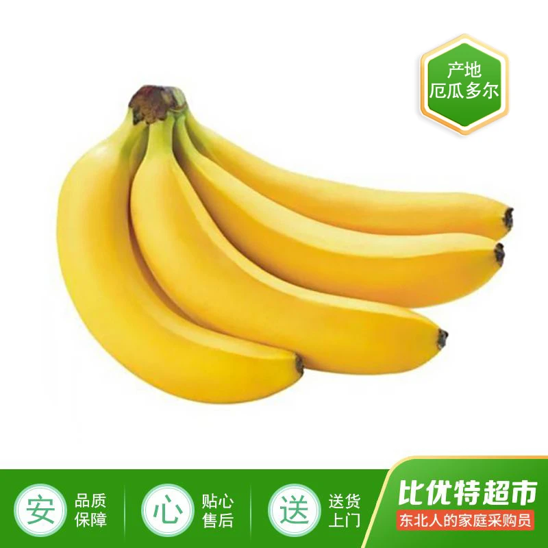 佳农香蕉≥500g/份(成熟度随机)