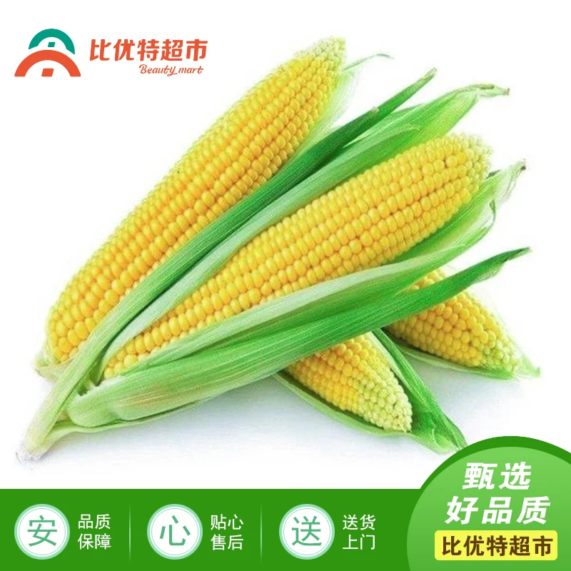 太阳花玉米 （1/个）