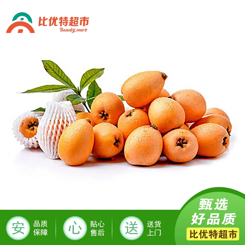 福建云霄枇杷 约450g/份