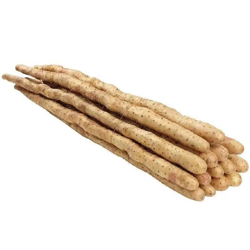 特选-小白嘴山药 约800g/份