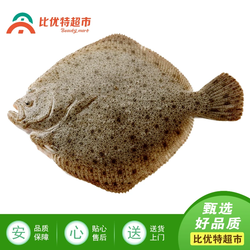 冰鲜多宝鱼（条）.