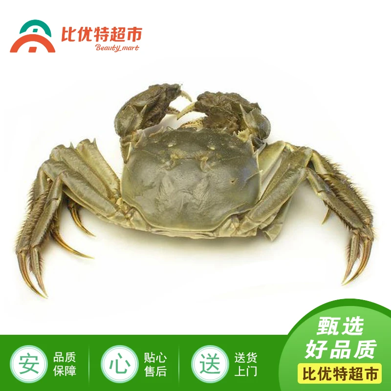 蟹香妃大闸蟹2.7两公蟹（1/只）