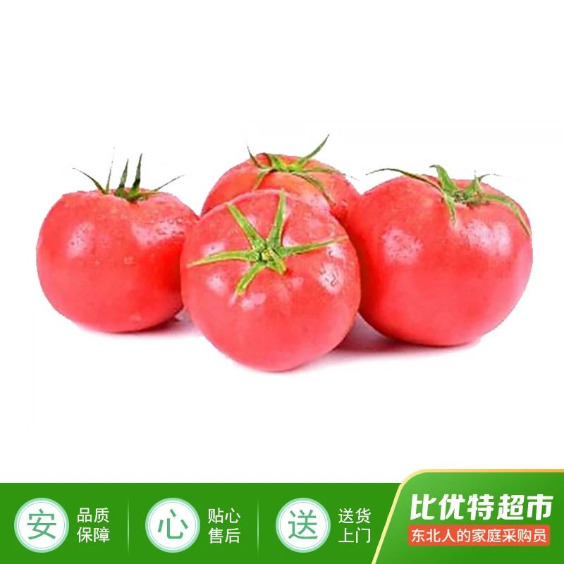 平价西红柿约600g/份