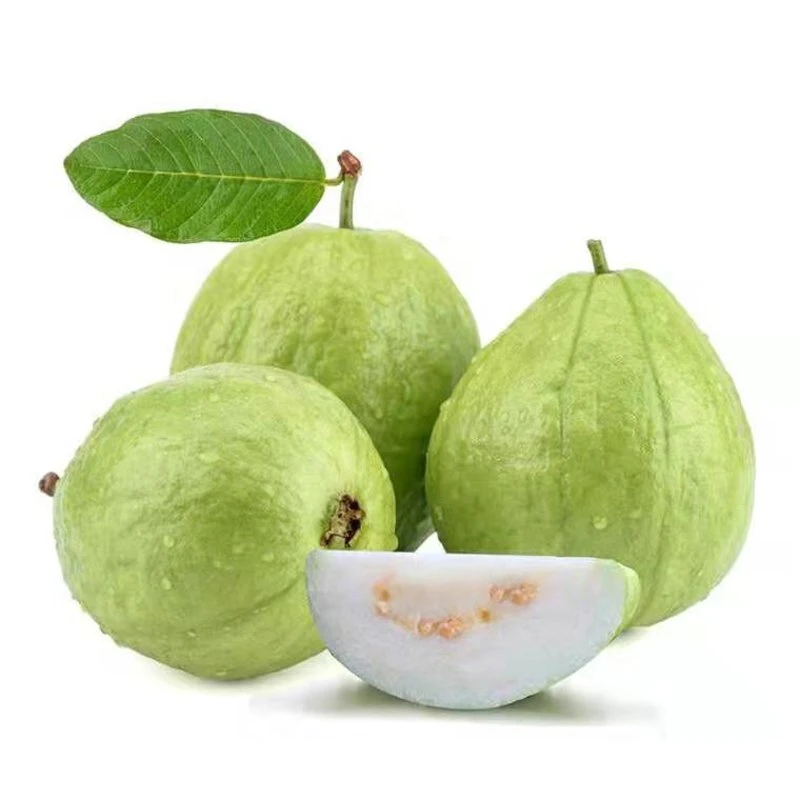 奶油芭乐≥约300g/份（成熟度随机）