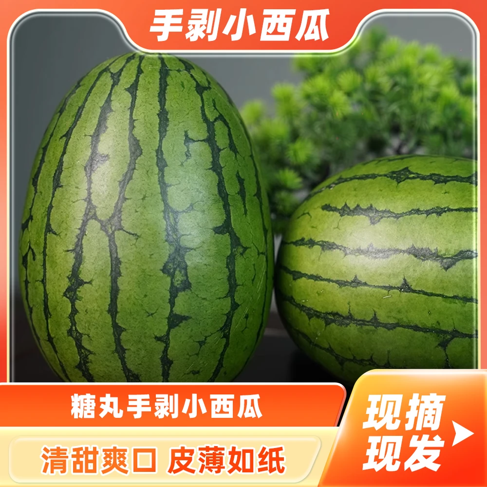 甘肃现摘现发手撕2k超甜薄皮小糖丸新鲜西瓜超脆超甜京东包邮水果