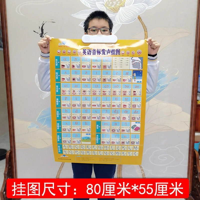 2025发声英语国际音标有声挂图老师教学用大挂图48音标发音讲解