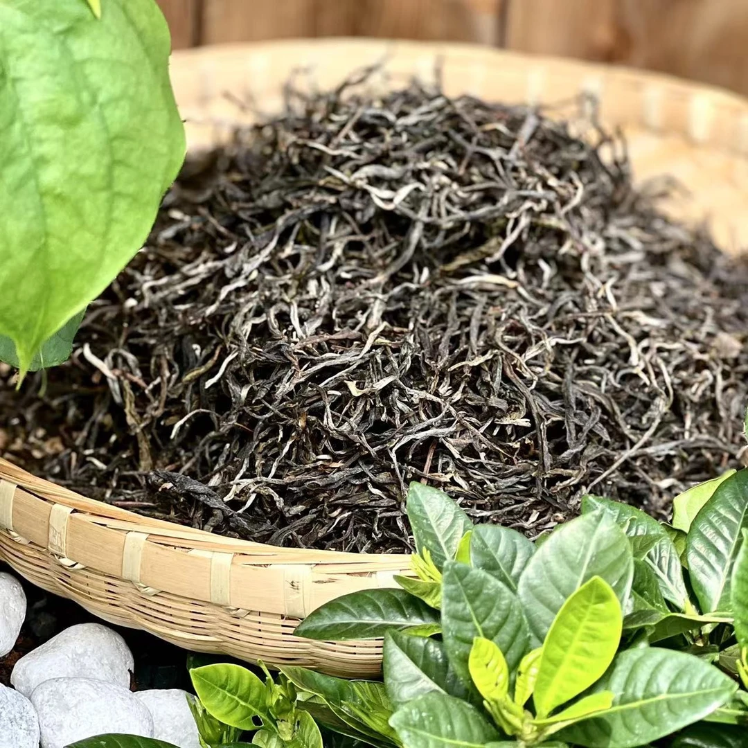 普洱古树生茶散茶