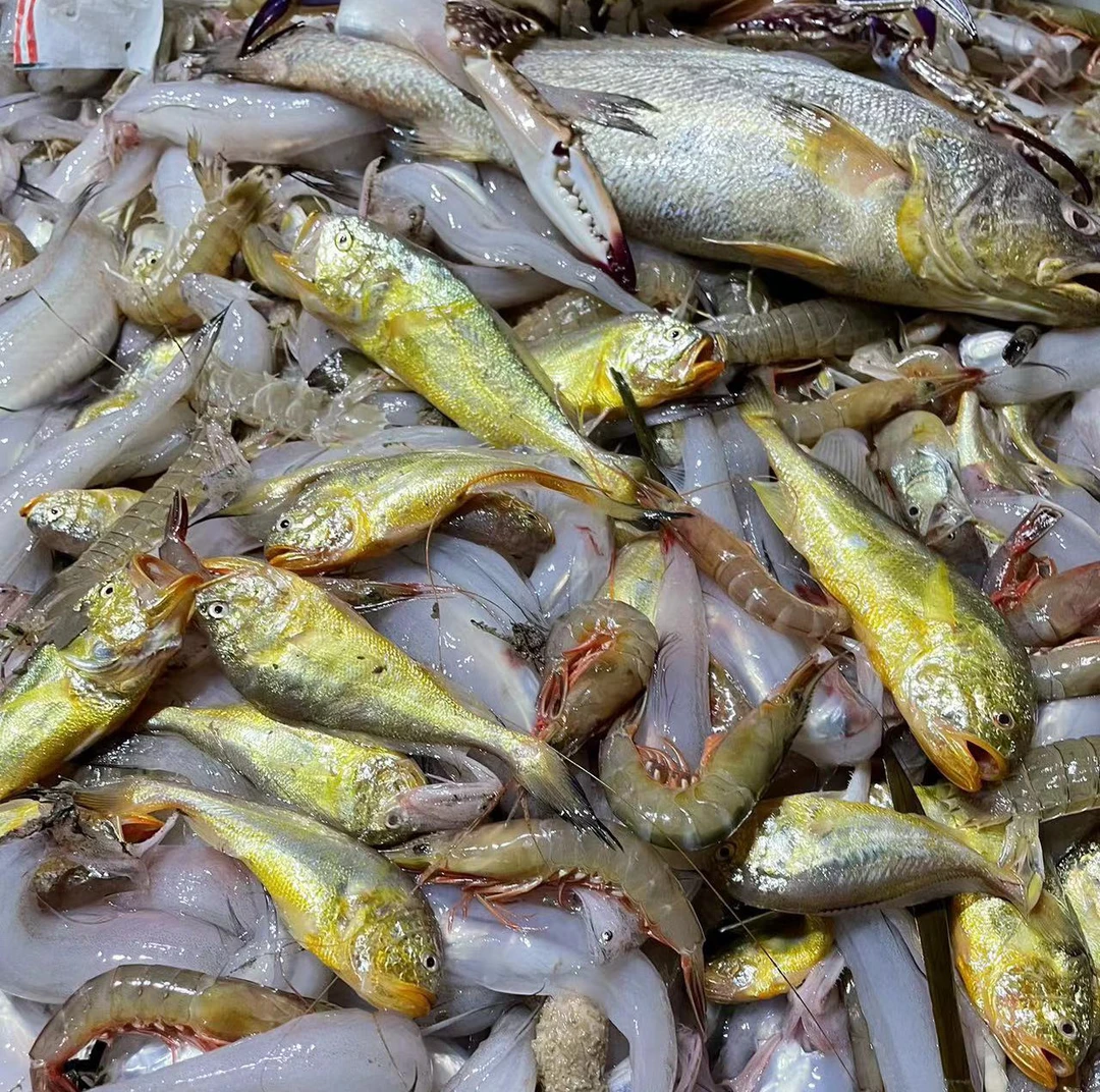 【包网第九网】自家渔船，主播自己捕捞，整兜保底10斤发货无添加