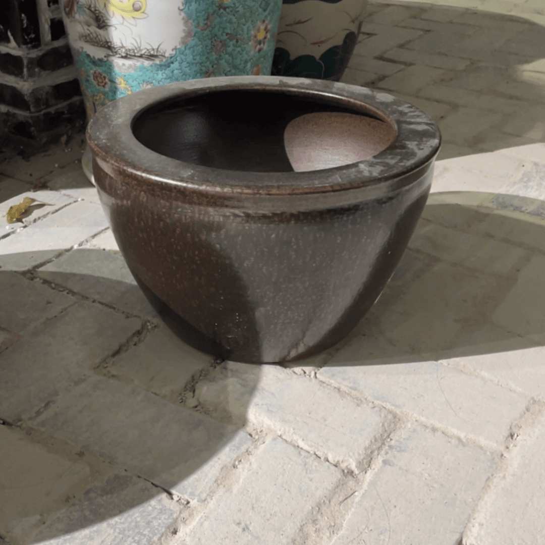 【闪购商品】陶瓷缸玉****走