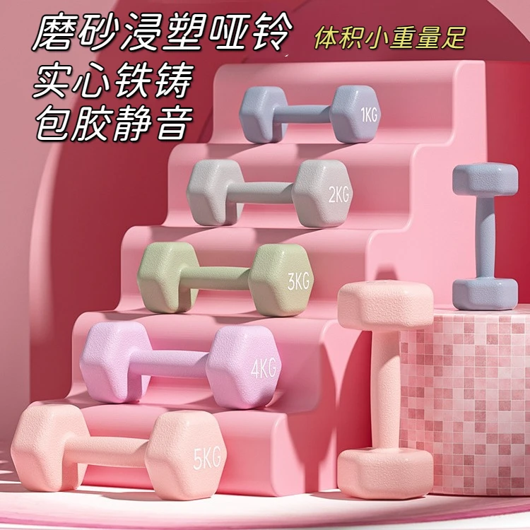 哑铃女士家用健身器材小巧实心小哑铃铁铸哑铃组合臂肌力量训练器
