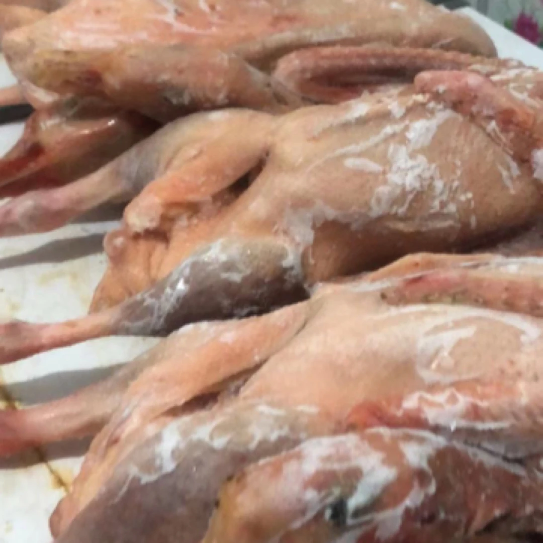 东北散养大鹅，小笨鸡两只起包邮(海南，广西，不发货)