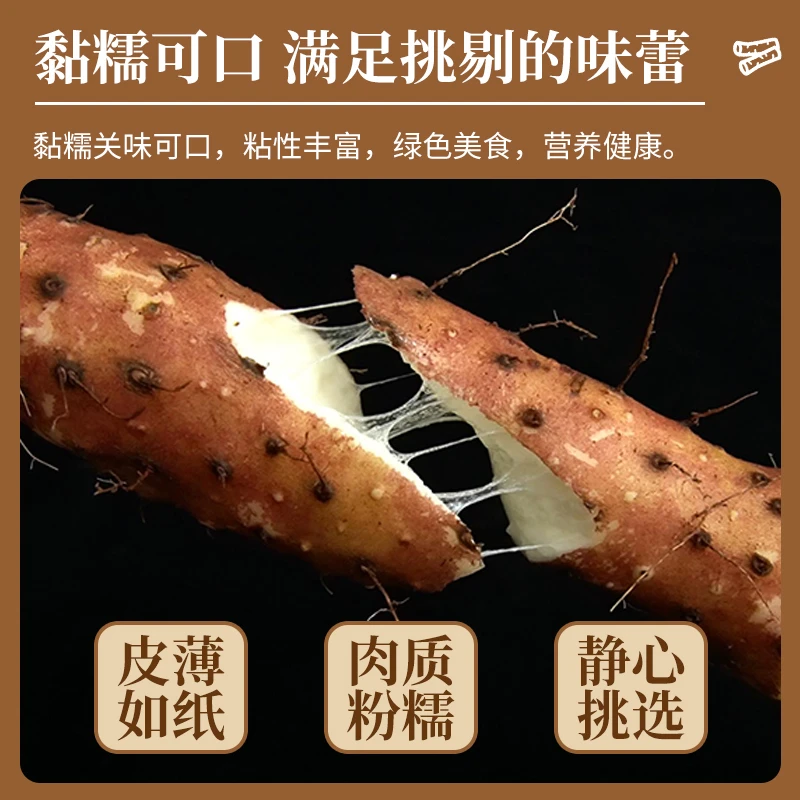 【怀山药】河南焦作温县垆土铁棍山药3斤5斤新鲜原产地发货健康营养