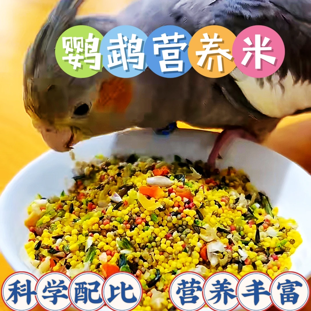 鹦鹉营养米鸟粮鹦鹉粮种子粮蛋小米鹦鹉混合粮五谷杂粮