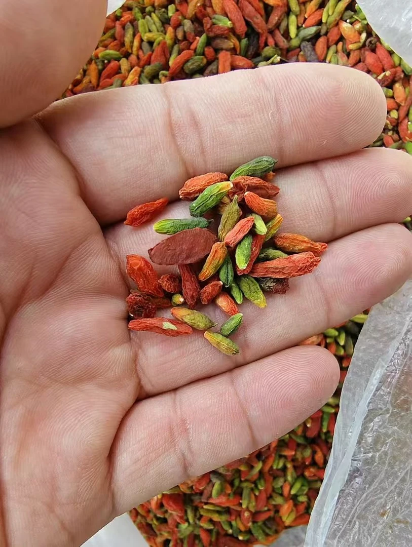 优质精选----七彩枸杞