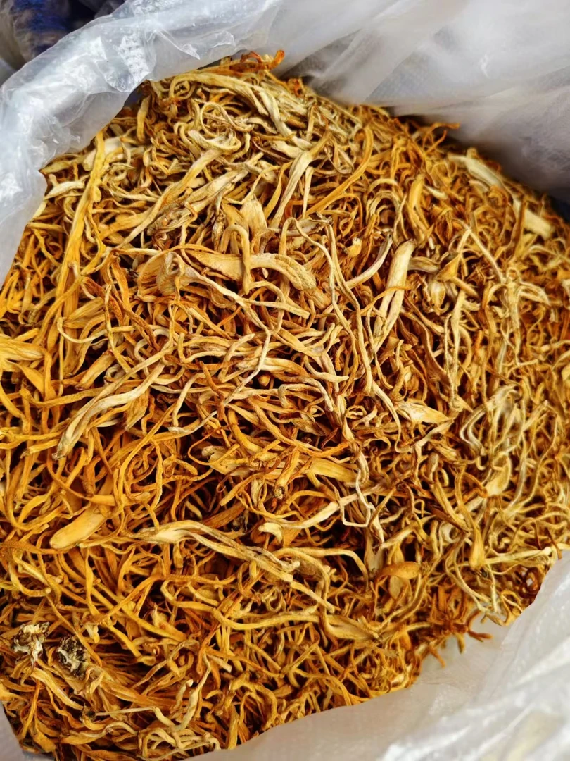 优品精选----虫草花