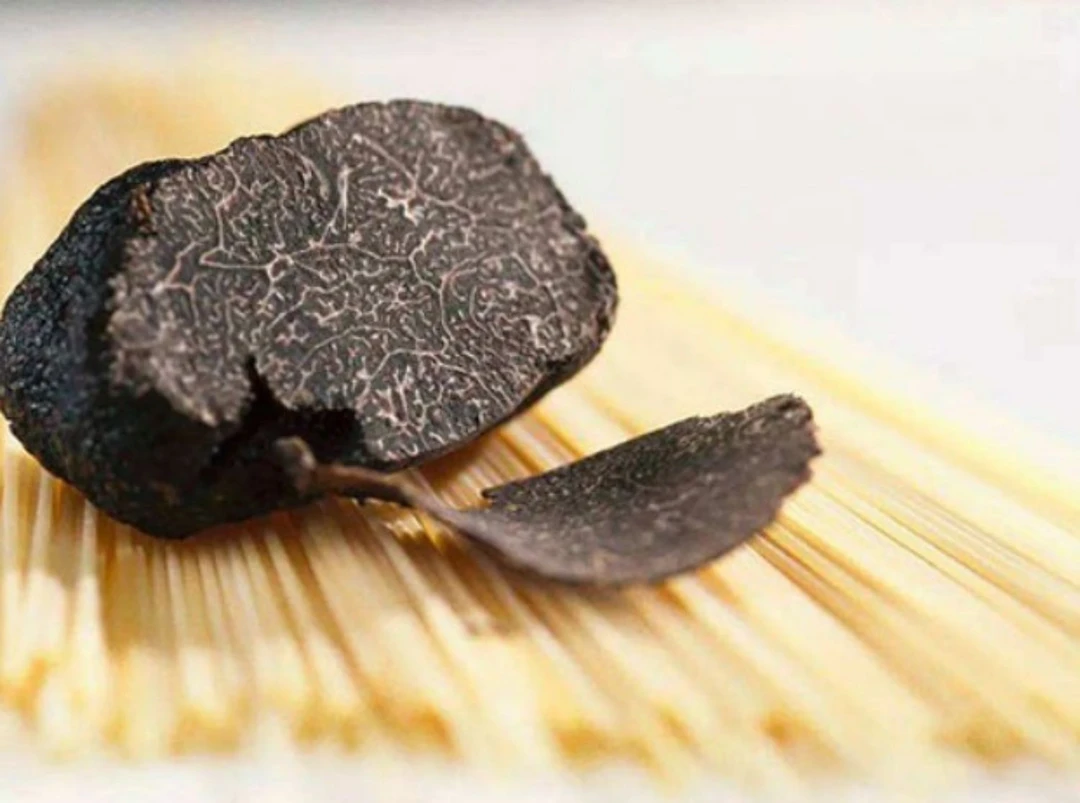 【优质精选】--黑松露