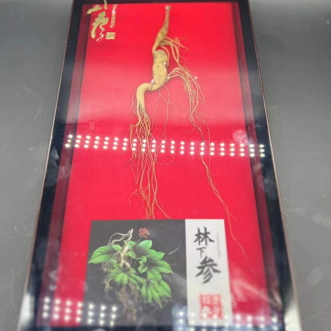 长白山林下参干参 透明礼盒装