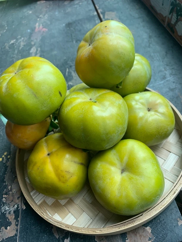 大巴山烟霞片区高山甜脆柿子生吃