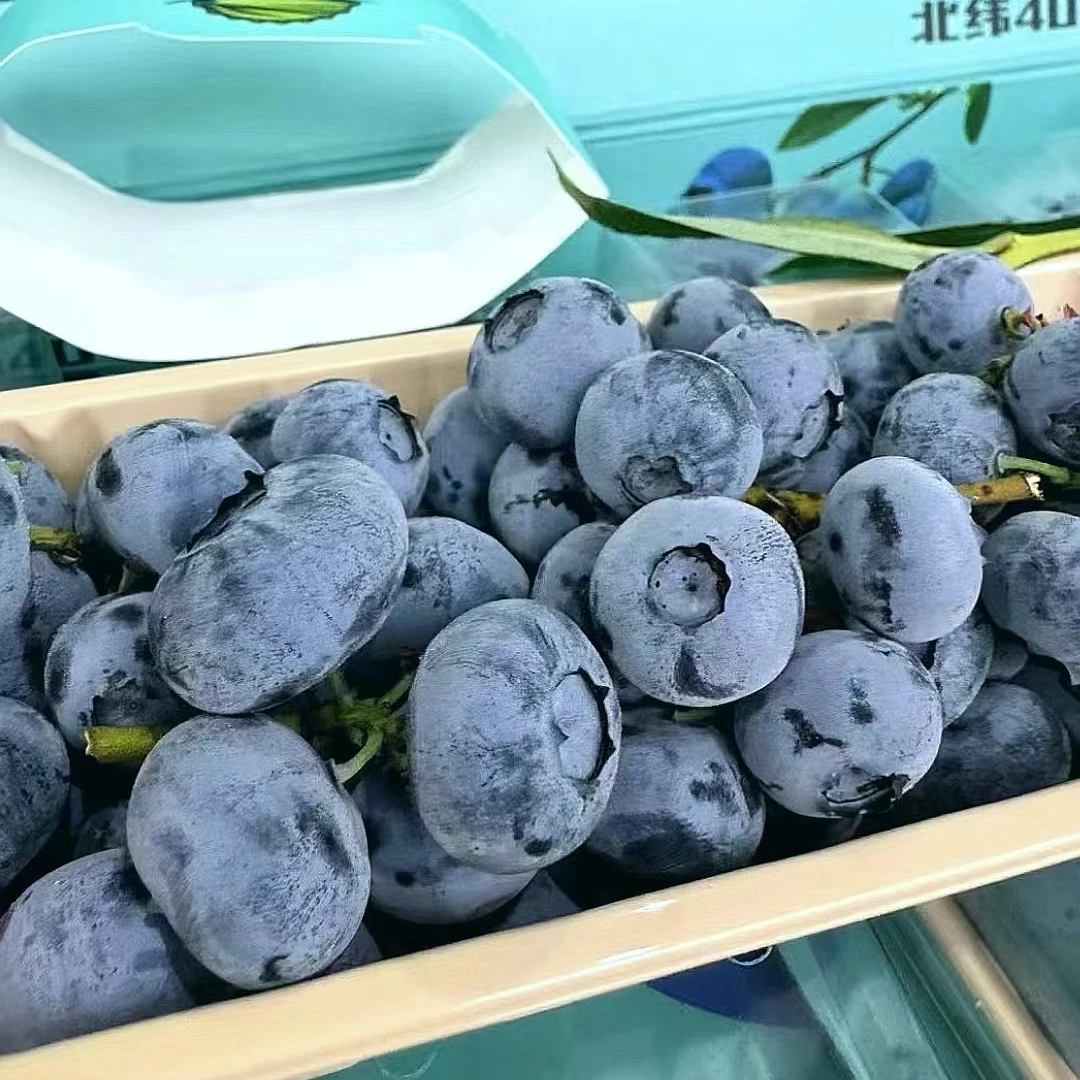 【喜农夫旗舰店】云南串蓝莓单盒毛重约250g包邮到家