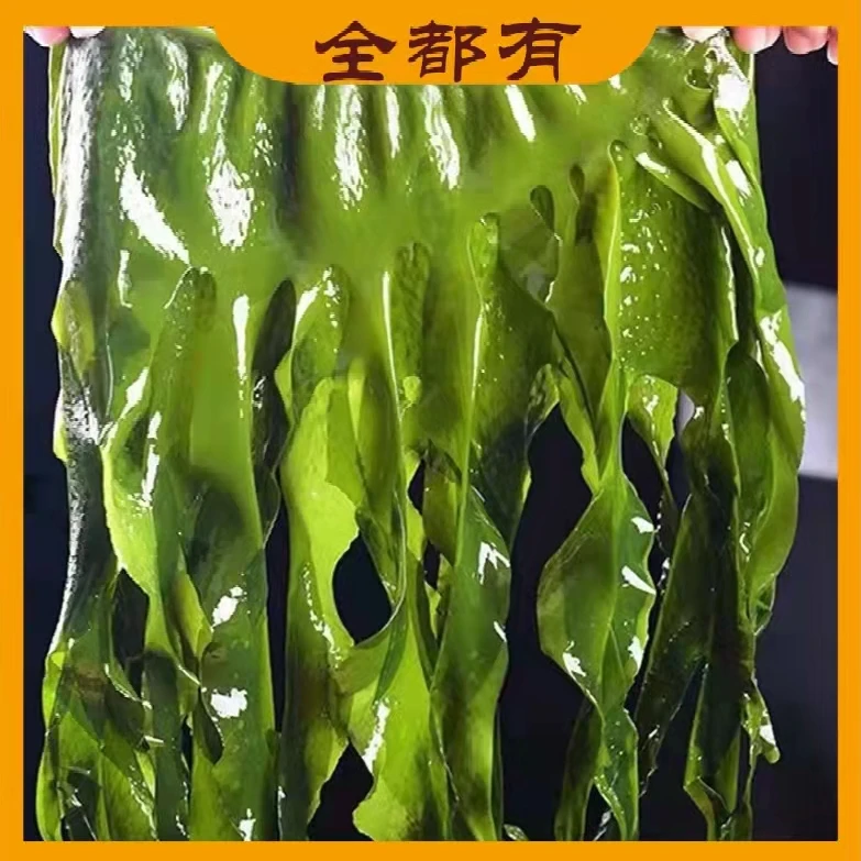 【君君专属】盐渍裙带菜 带箱5斤！