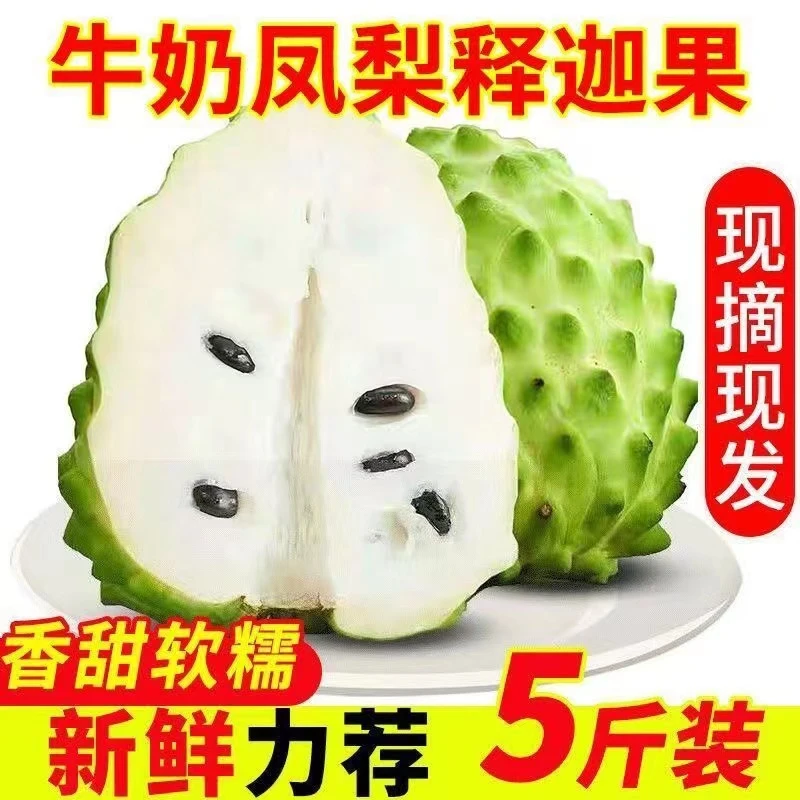【东方榛选】新鲜凤梨释迦果5斤牛奶大目番荔枝佛头摩尼果当季水