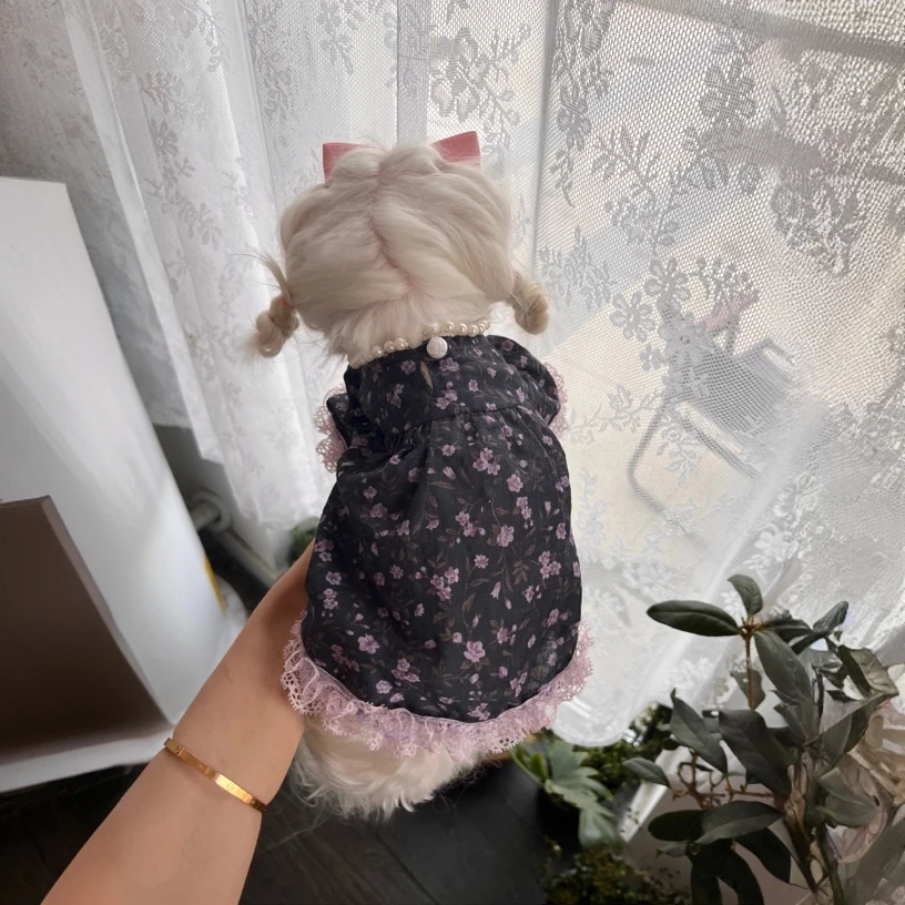 公主的紫色荼靡裙自带珍珠泡泡袖喇叭袖纯棉轻薄蕾丝花边狗狗西施