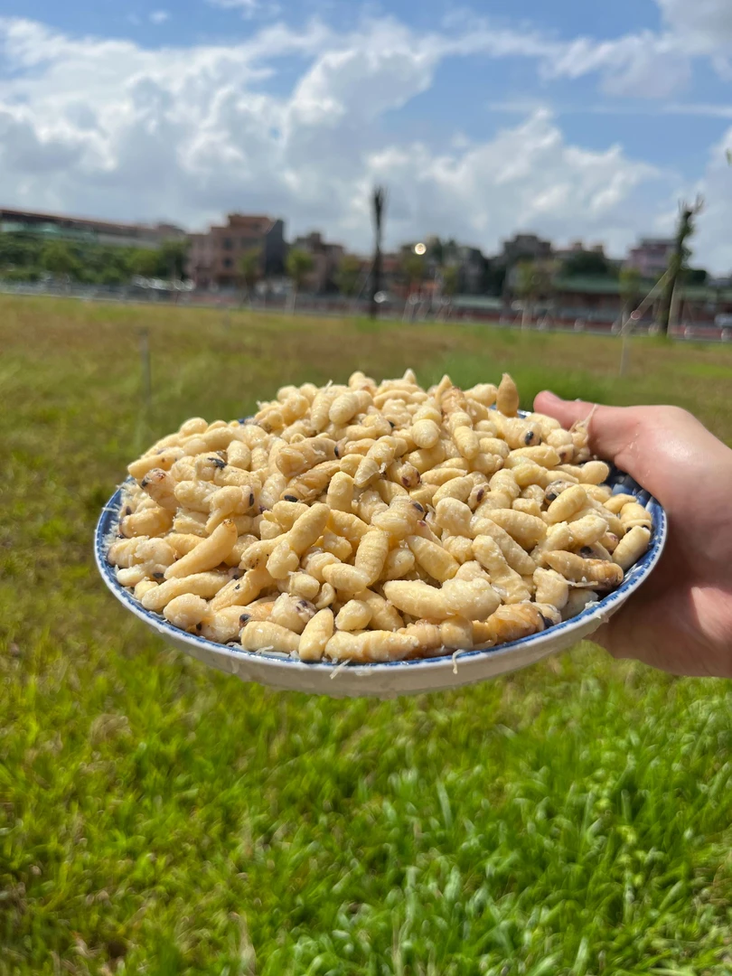 一二等鲜活金环虎头蜂冰冻蜂蛹马蜂窝高营养高蛋白批发野生蜂蛹