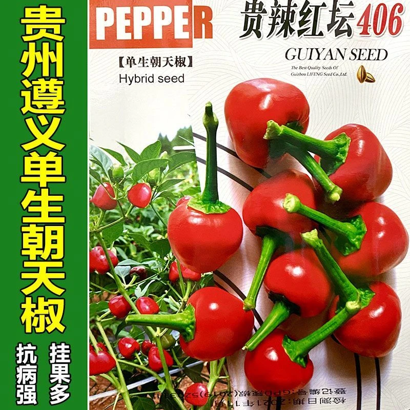 贵州遵义辣椒种子杂交中辣圆形朝天椒灯笼椒泡椒种籽高产蔬菜种孑