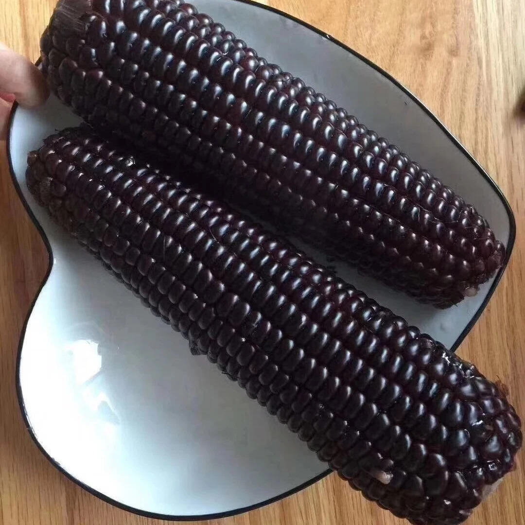 蔬品荟汉南黑玉米