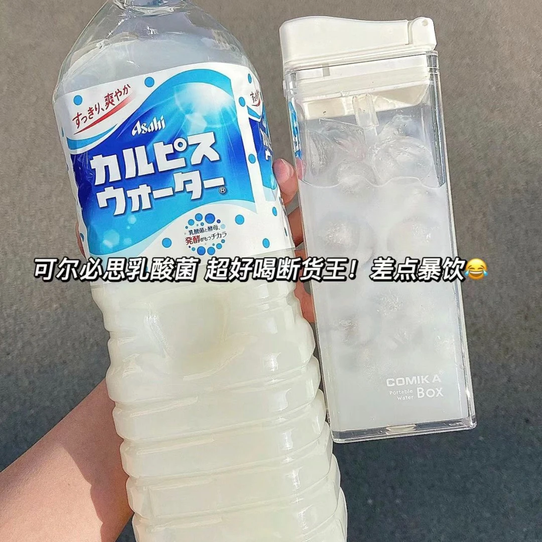 可尔必思乳酸菌风味饮料