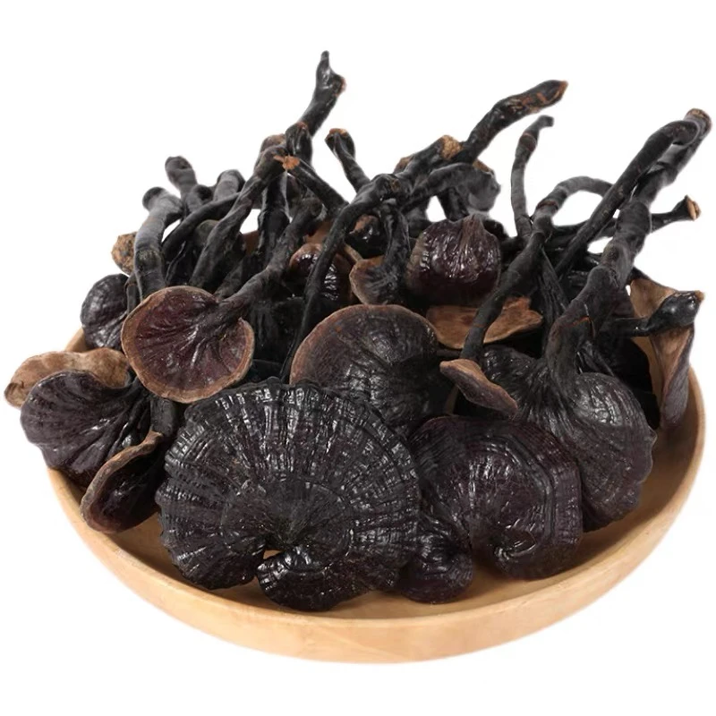 深山竹灵芝农家深山采摘灵芝煲汤煮水泡酒食用