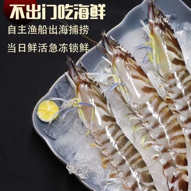 【1】野生竹节虾 斑节虾鲜虾速冻锁鲜 25只左右一斤 2斤装