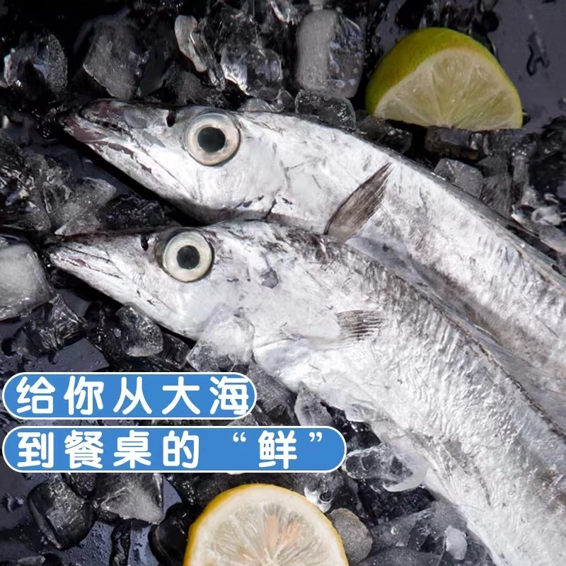 鲜活小眼油带4斤装，共8至9条，个别破肚，青岛 顺丰速冻锁鲜发货
