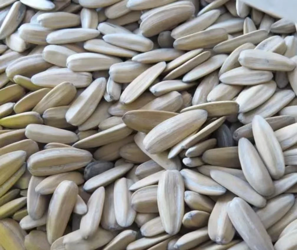 五香瓜子 约1斤左右