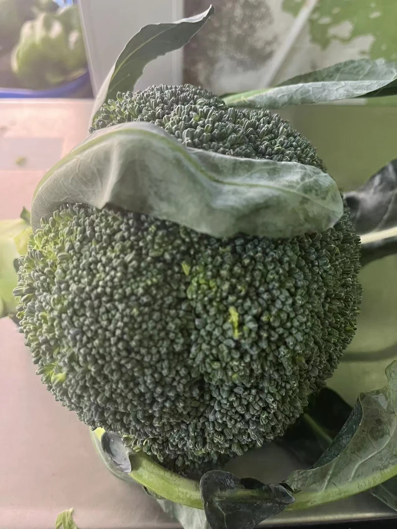 西蓝花1个 约600g