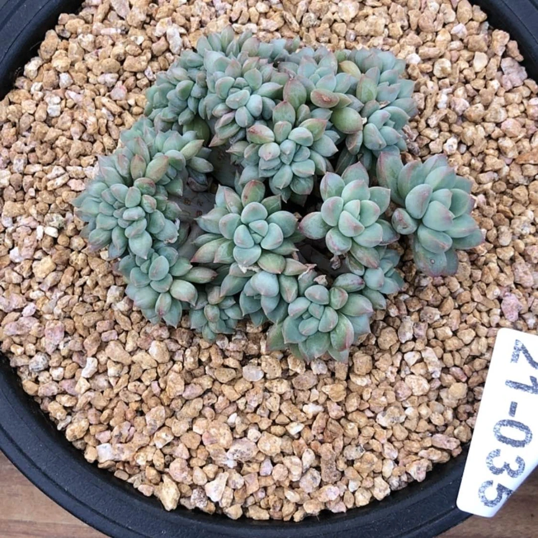 【闪购商品】慕*?21.35不知名