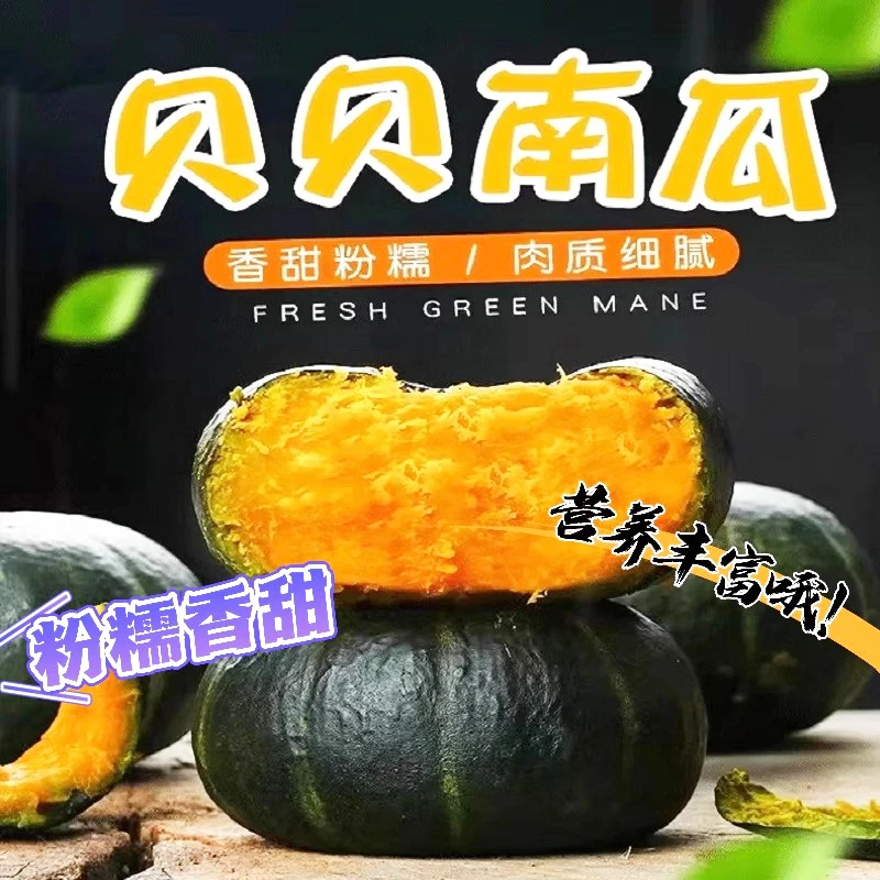 正宗山东板栗贝贝南瓜礼盒装6头3-3.5斤装粉糯香甜婴儿宝宝辅食