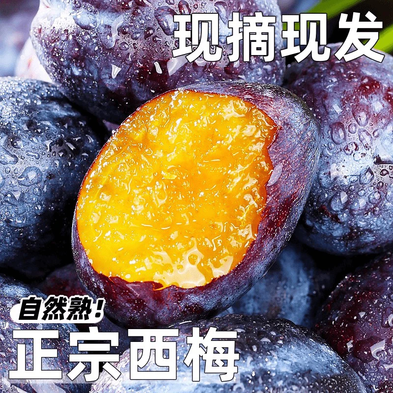 【树上现摘】正宗西梅新鲜3斤西梅新鲜水果甜西梅包邮