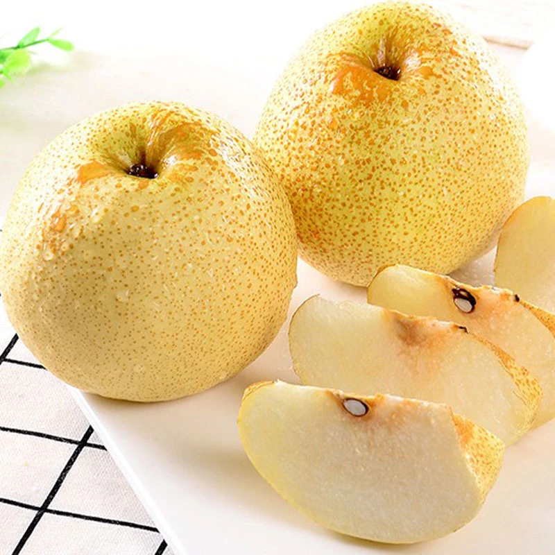 【宋忠平专属】现摘陕西蒲城酥梨脆甜多汁新鲜应季水果5斤/8.5斤