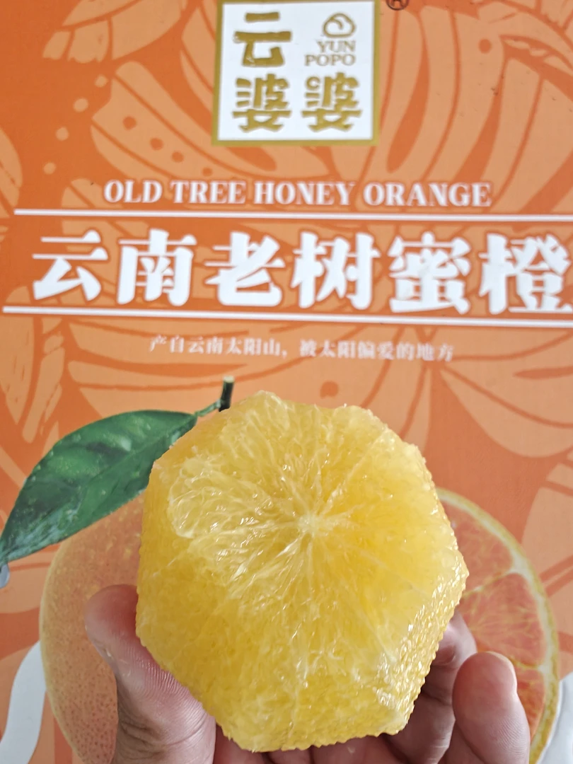 云婆婆云南老树蜜橙甜嫩多汁【京东包邮】