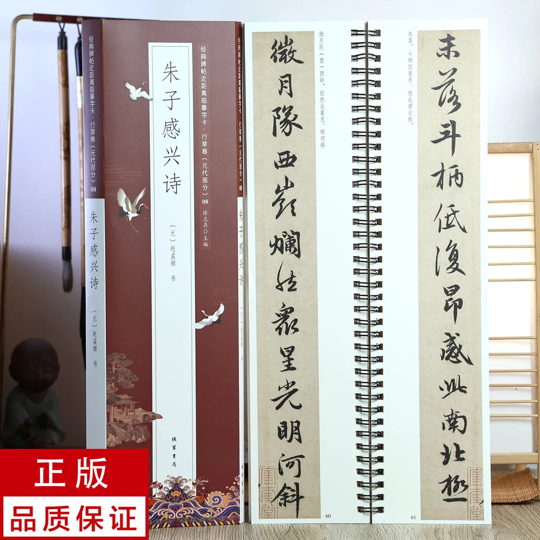 赵孟頫行书朱子感兴诗 静文轩近距离临摹字帖