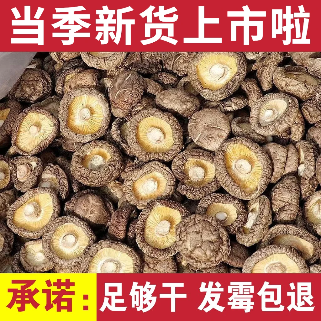 古田香菇肉厚无根小香菇干货菌菇新货批发农家特产食用菌煲汤炒菜