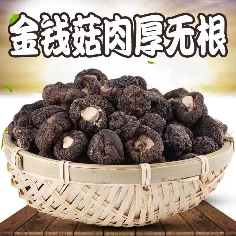 福建古田小香菇干货 食用菌香菇肉厚煲汤炒菜 金钱菇小蘑菇家常菜