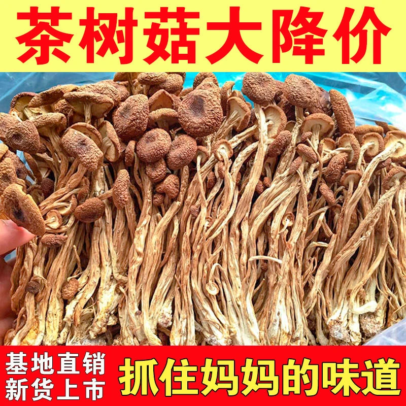 茶树菇干货古田农家土特产茶树菇当季新货香菇菌菇煲汤爆炒食材