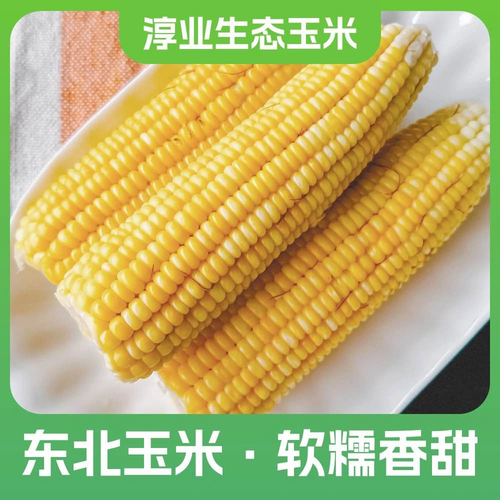 东北望奎淳业甄选鲜食甜糯玉米真空装1.76kg（220g*10根）